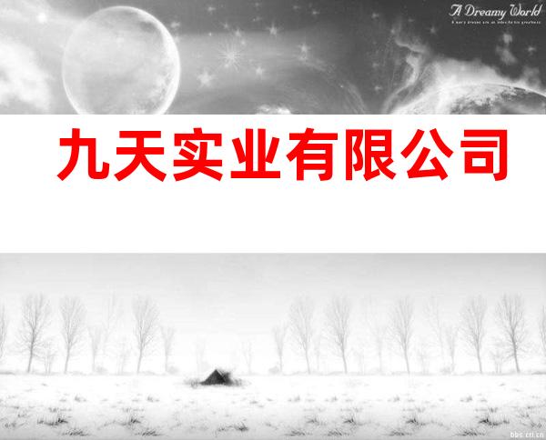 九天实业有限公司